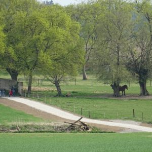 WATERLOO_chemin d'Hougoumont 03